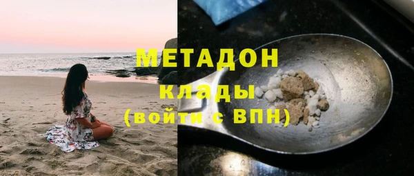 прущие грибы Алзамай