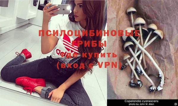 a pvp Дмитровск