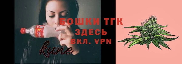 прущие грибы Алзамай