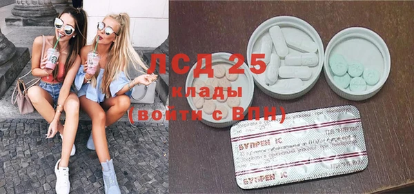 прущие грибы Алексеевка