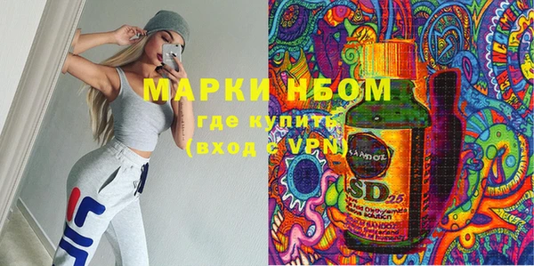 прущие грибы Алзамай