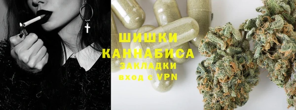 прущие грибы Алзамай